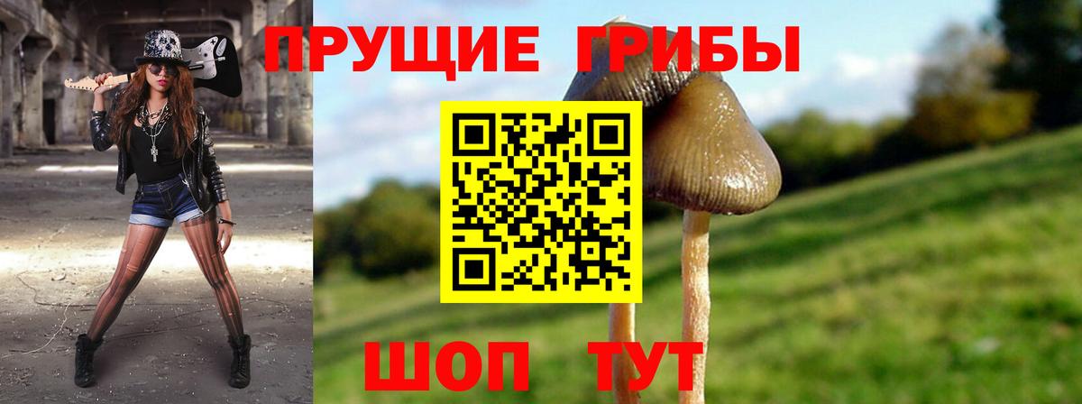 Галлюциногенные грибы мицелий Заинск